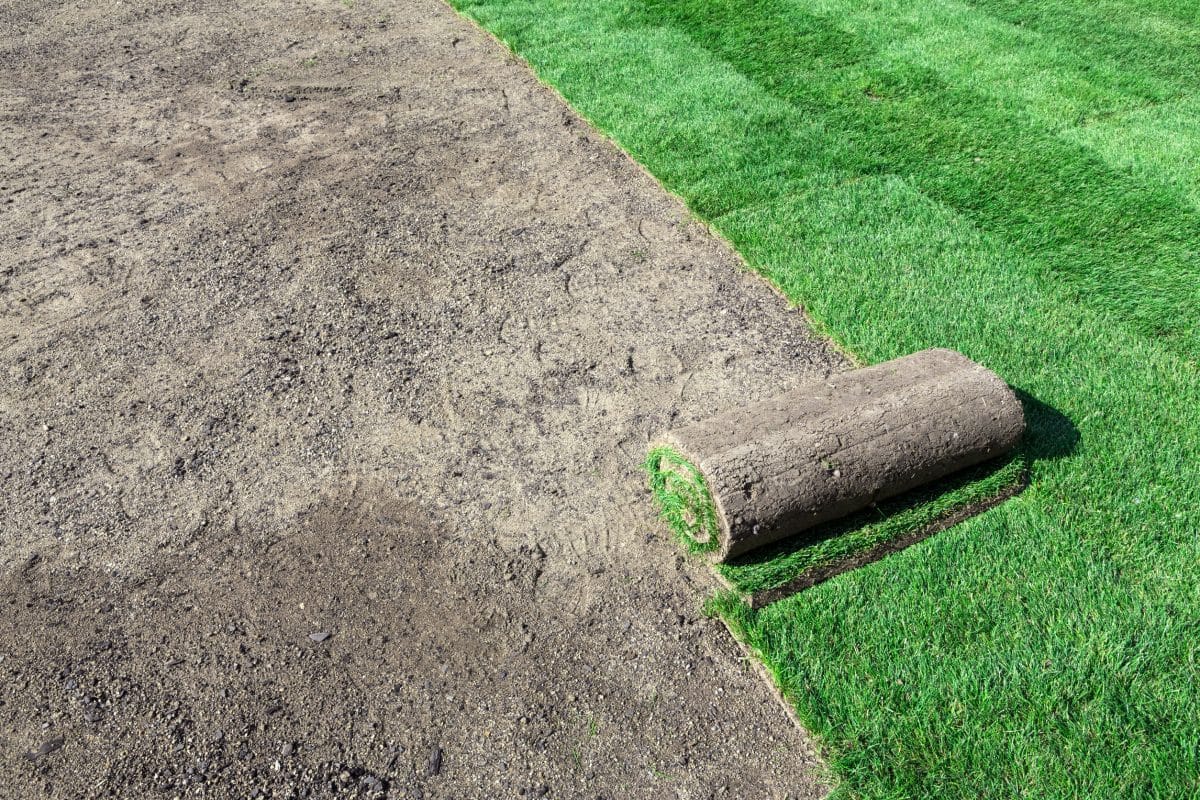 Gazon en rouleau lyon